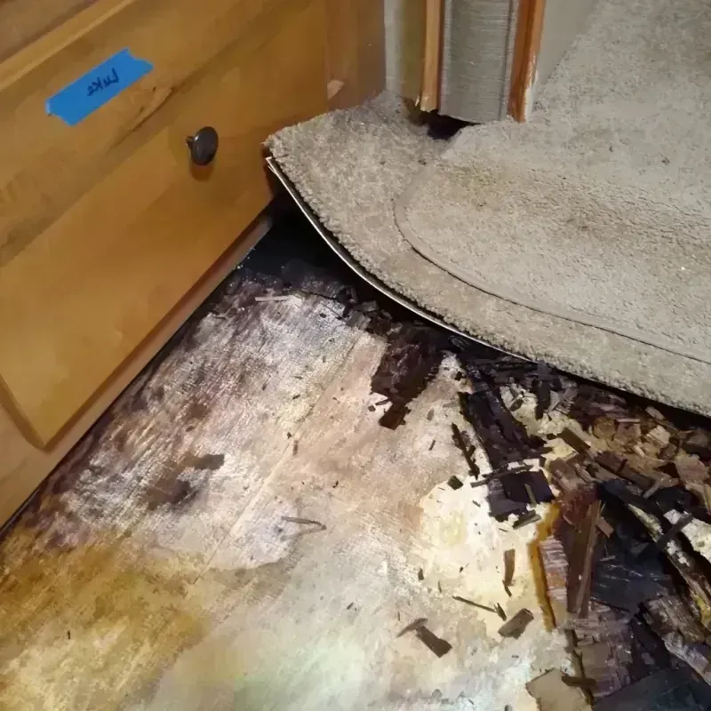 Best Wood Floor Water Damage Service in Morton County, KS